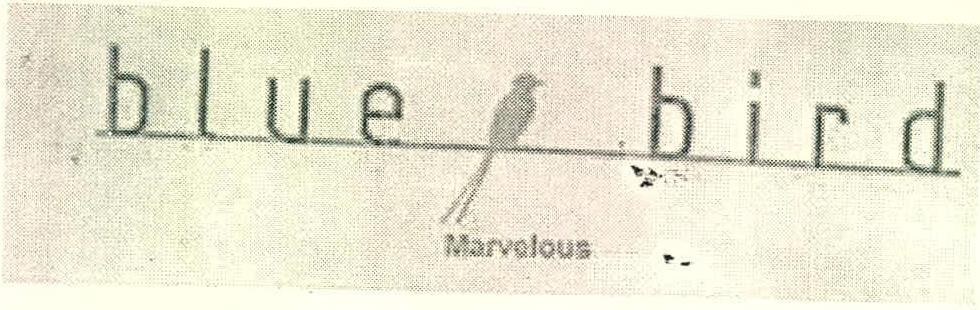 Blue Bird, Marvelous, De. Of Bird (label) Device mark 1729133 Trademark