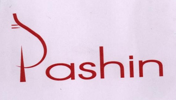 Pashin (device) Device mark 1774298 Trademark