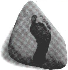 ( Device ) Device mark 1930053 Trademark