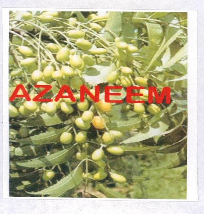 Azaneem Device mark 1940784 Trademark