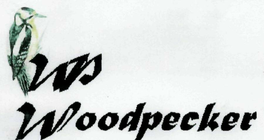 Wp Woodpecker Device mark 1945262 Trademark
