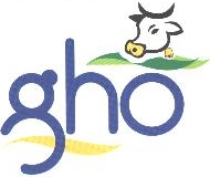 Gho Device mark 1811358 Trademark