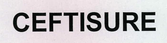 Ceftisure Device mark 2234281 Trademark