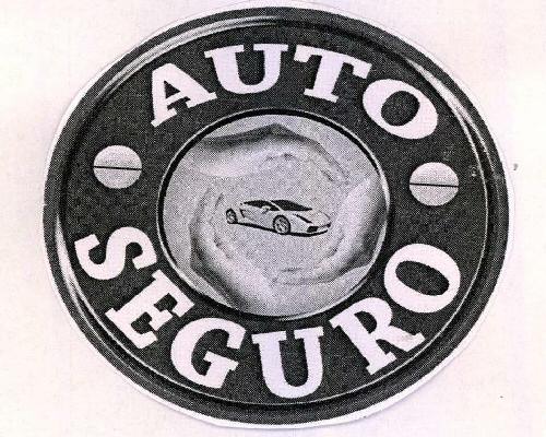 Auto Seguro Device mark 2221646 Trademark