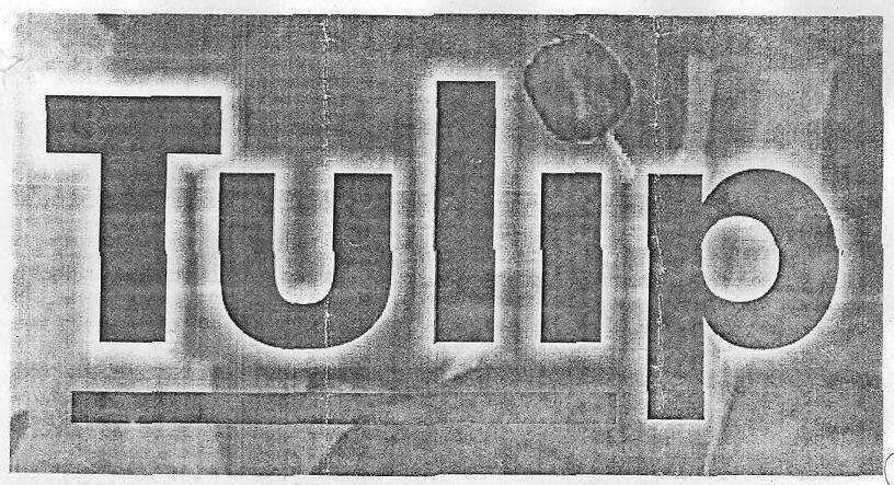 Tulip (label) Device mark 1592242 Trademark
