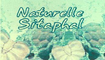 Naturelle Sitaphal (device Of Custerd Apple) Device mark 2306095 Trademark