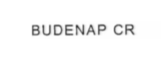 Budenap Cr Device mark 2144176 Trademark