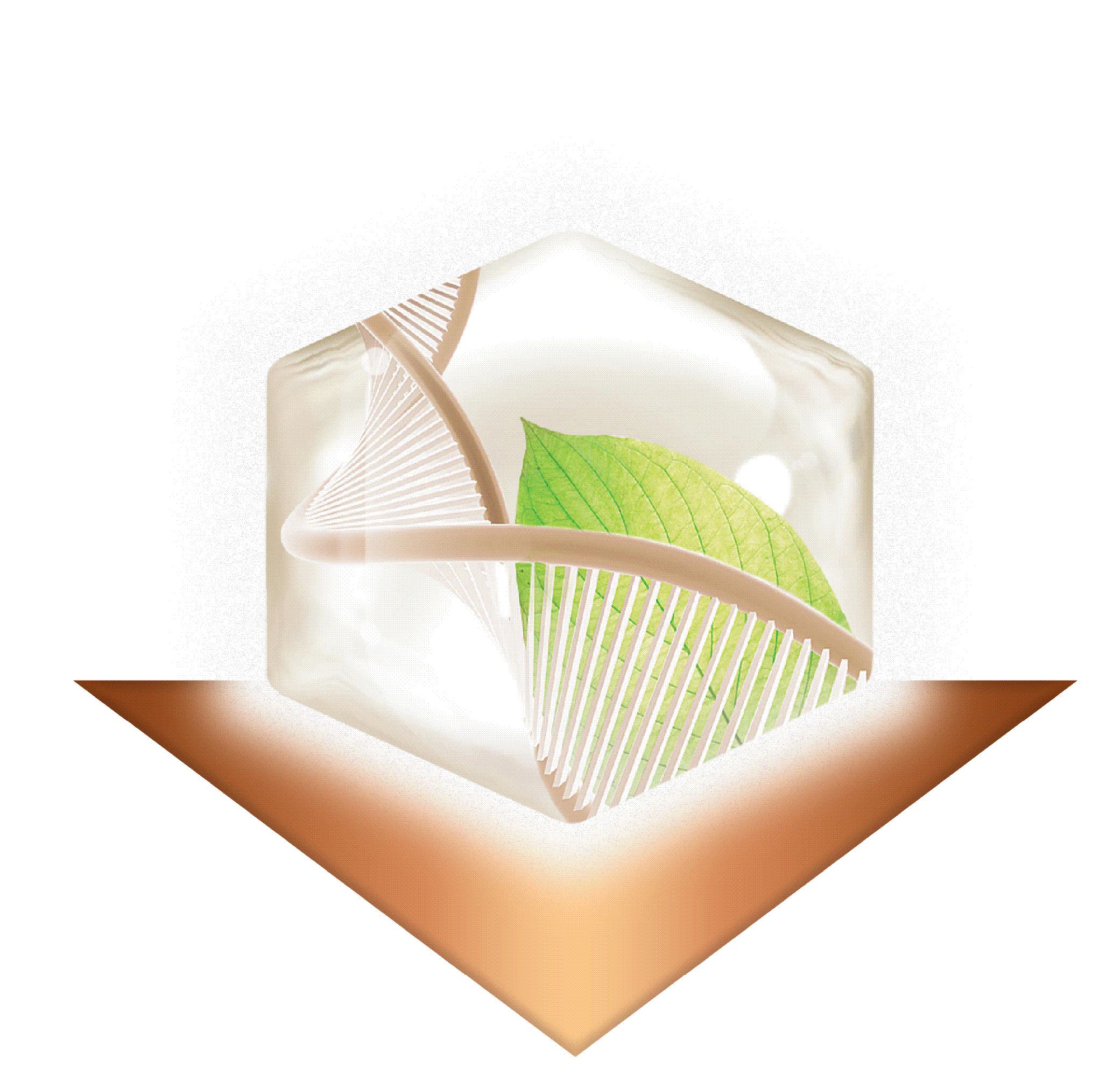 Device Device mark 2460860 Trademark