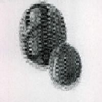 Ai (logo) Device mark 2338137 Trademark