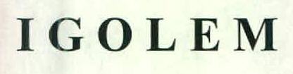 Igolem Device mark 2576903 Trademark