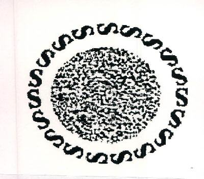 Solares Device mark 2384932 Trademark