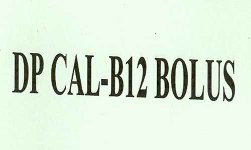 Dp Cal -b12 Bolus Device mark 1834954 Trademark