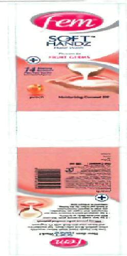 Fem Soft Handz Hand Wash (label) Device mark 2300489 Trademark
