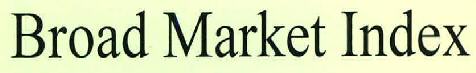 Broad Market Index Device mark 2308441 Trademark