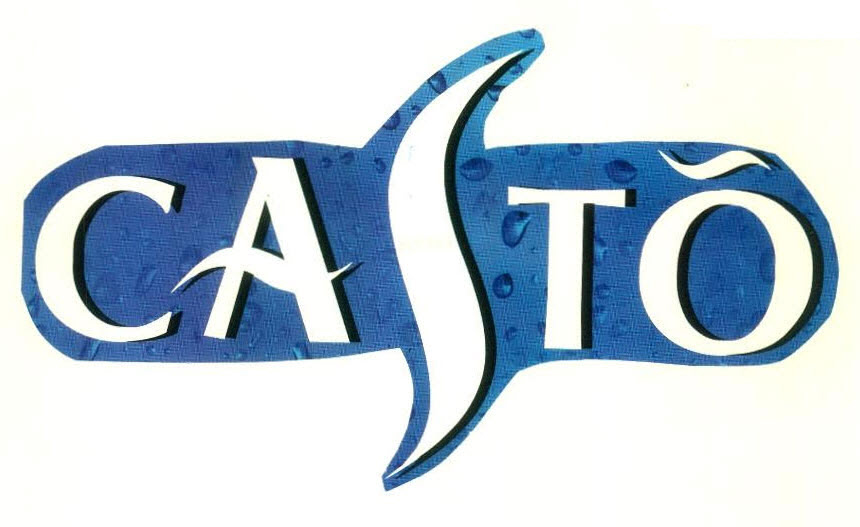 Casto Device mark 2819803 Trademark