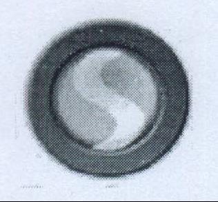 Device Of Logo Device mark 1990990 Trademark