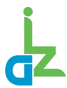 Diz Device mark 2961561 Trademark