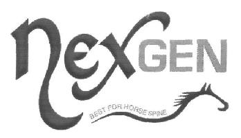 Nexgen Device mark 2997976 Trademark