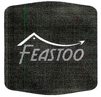 Feastoo Device mark 2992203 Trademark