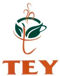 Tey Device mark 2472799 Trademark