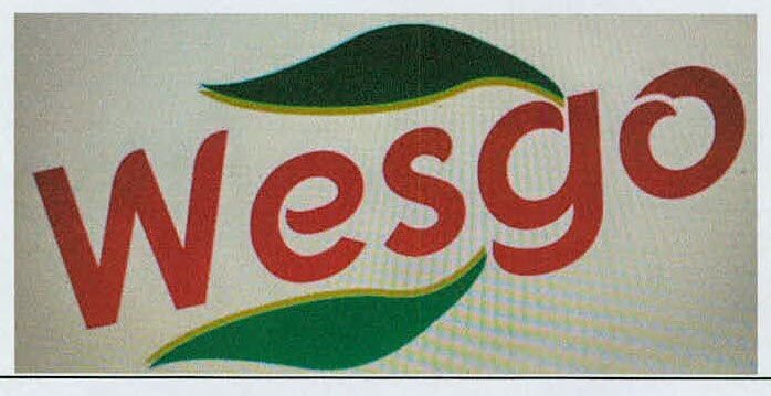 Wesgo Device mark 3185785 Trademark