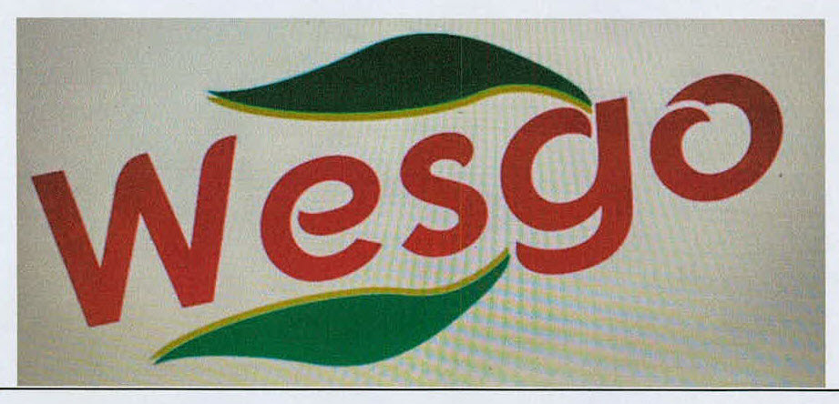 Wesgo Device mark 3185787 Trademark