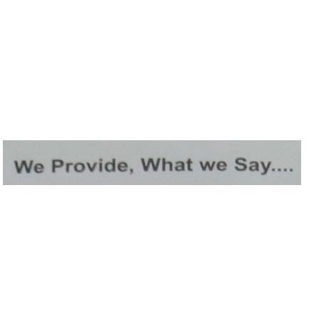 We Provide,what We Say... Device mark 3173290 Trademark