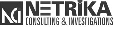Netrika Consulting And Investigations Device mark 3209341 Trademark