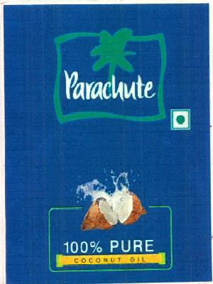 Parachute Device mark 3181086 Trademark