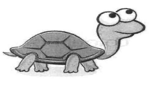 Device Device mark 2512568 Trademark