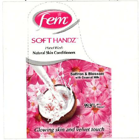 Fem Soft Handz Device mark 3169533 Trademark