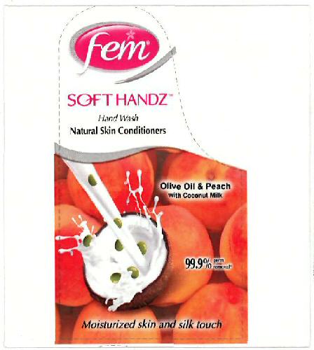 Fem Soft Handz Device mark 3169535 Trademark