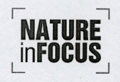 Nature Infocus Device mark 3240888 Trademark