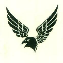 Device Of Eagle Device mark 3287239 Trademark