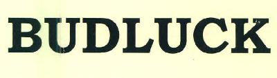 Budluck Device mark 3216531 Trademark