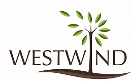 Westwind Device mark 3233233 Trademark