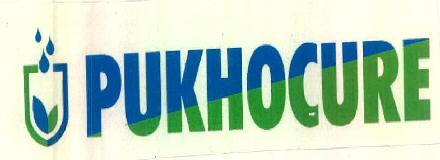 Pukhocure Device mark 3287518 Trademark