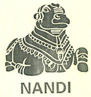 Nandi Device mark 3264441 Trademark