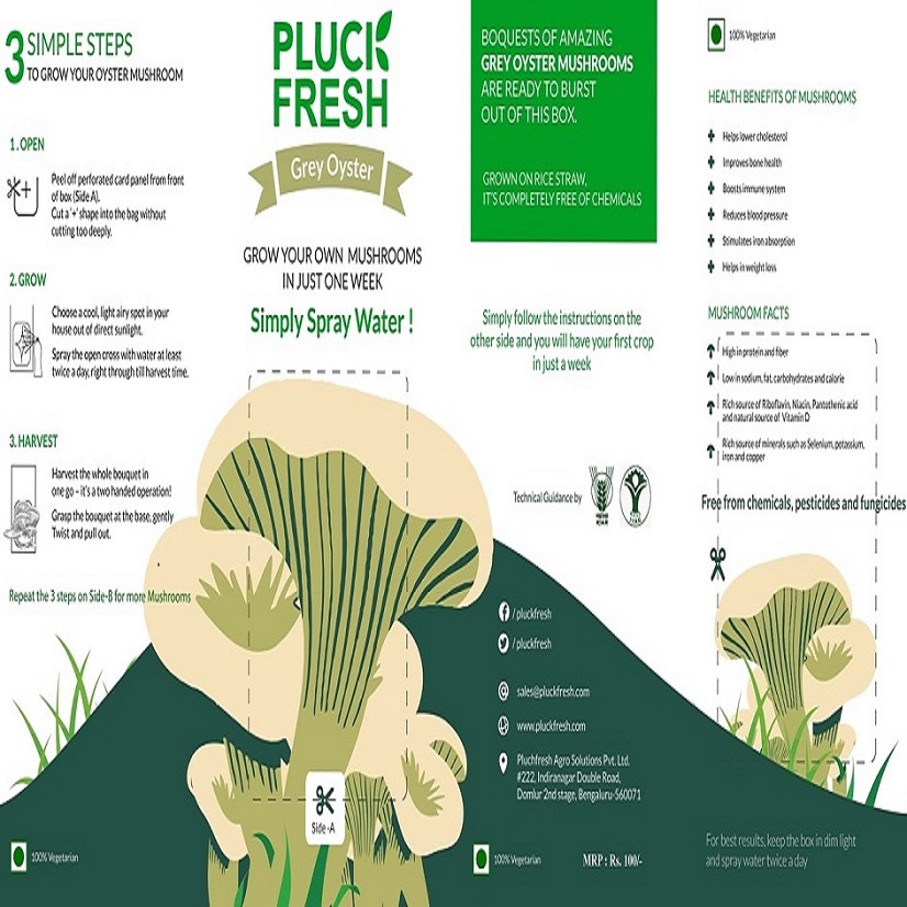 Pluck Fresh With Device Device mark 3341790 Trademark