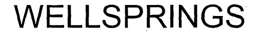 Wellsprings Device mark 3326551 Trademark