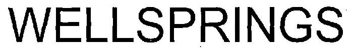 Wellsprings Device mark 3326553 Trademark