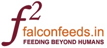 Falconfeeds.in Device mark 3305755 Trademark