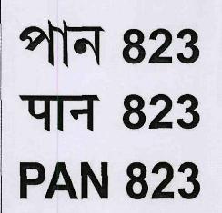 Pan 823 (label) Device mark 3342033 Trademark
