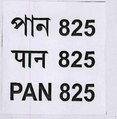 Pan 825 (label) Device mark 3342035 Trademark