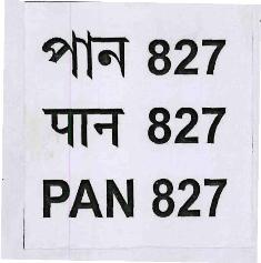 Pan 827 (label) Device mark 3342037 Trademark