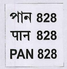 Pan 828 (label) Device mark 3342038 Trademark