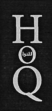 Hoq Device mark 3313556 Trademark