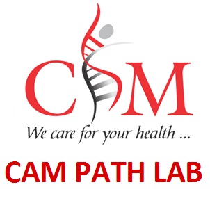 Cam Path Lab Device mark 3329132 Trademark
