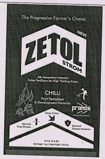 Zetol Strom Device mark 3101234 Trademark