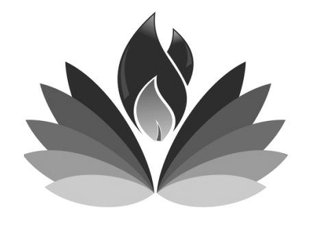 Device Device mark 3381420 Trademark